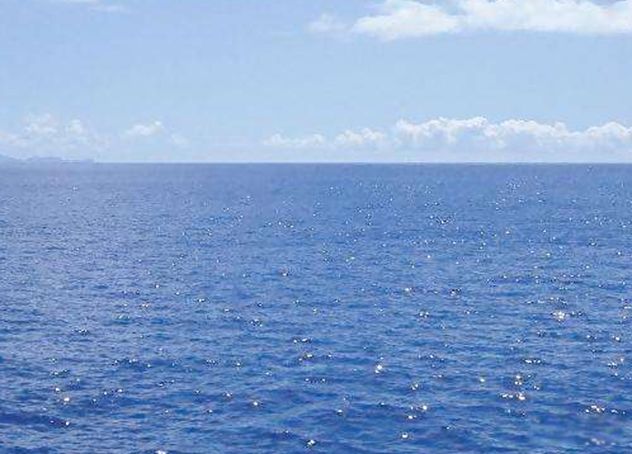 �����㳤ʲô������Ĵ����� ��������ж����