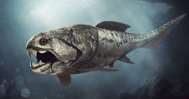 �����㳤ʲô������Ĵ����� ��������ж����