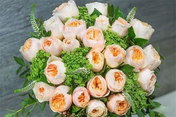 ����Ҷõ�廨����Ǯһ֧ ����������õ�廨����ͨõ�廨������