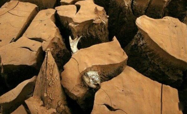 ��һ�����Ų����Ķ��ȷ��� ���޶��ȷ��㿨�����4���������