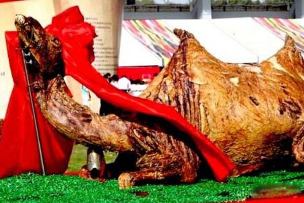 烤骆驼肉吃起来怎么样 烤骆驼图片有多大