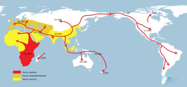 ����ͷ֤���ĳ��������� ����ͷ��ַ��ʲô���������˶�������