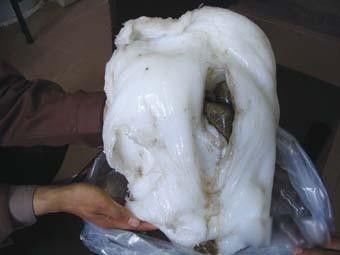 ��������δ��֮����������������֮��ֱ���ﵽ48����