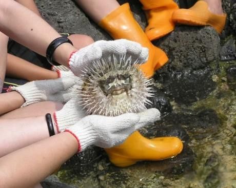 ��������δ��֮����������������֮��ֱ���ﵽ48����