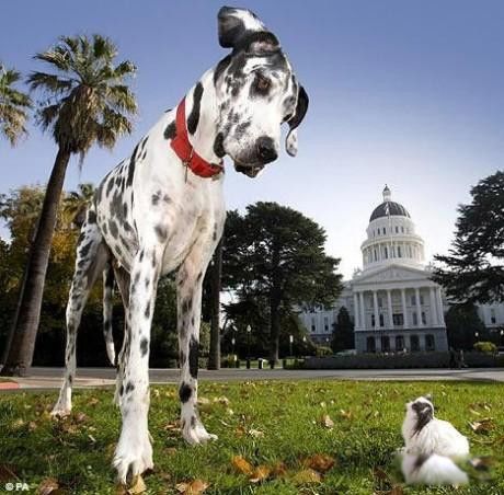 ��������δ��֮����������������֮��ֱ���ﵽ48����