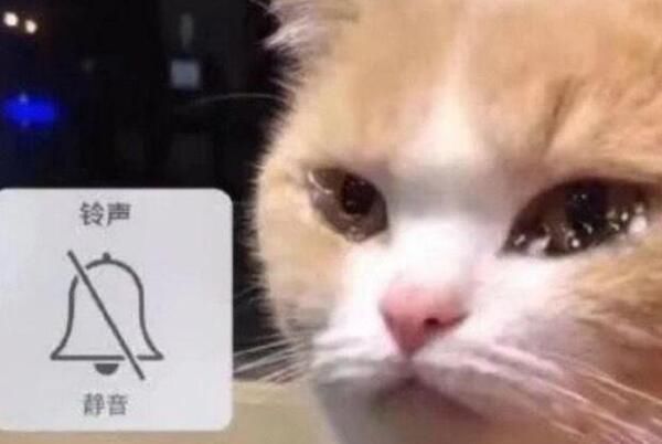 ����ס��������Ĺ� ����ס��������ʲô��˼