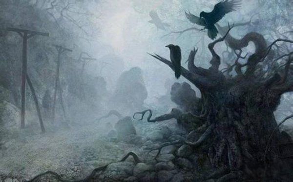 ��������������23�� ���̾��ǽ�һ���ֲ���