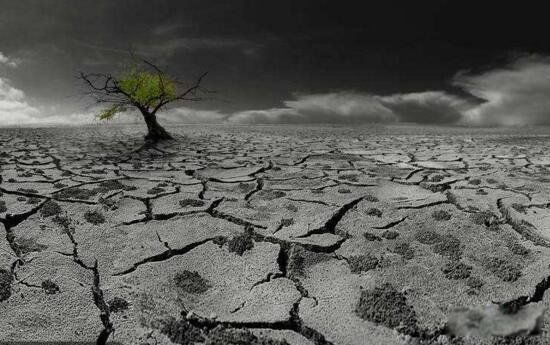 沙漠行星是什么星 沙漠行星有生命吗为什么