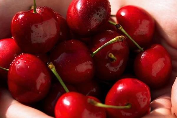 ӣ��С����ʲô���� ����Ů���촽�����������ʫ