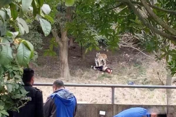 �����ϻ����˵��¼� 2017��������԰�ϻ�ҧ��7������Ƶʼĩ