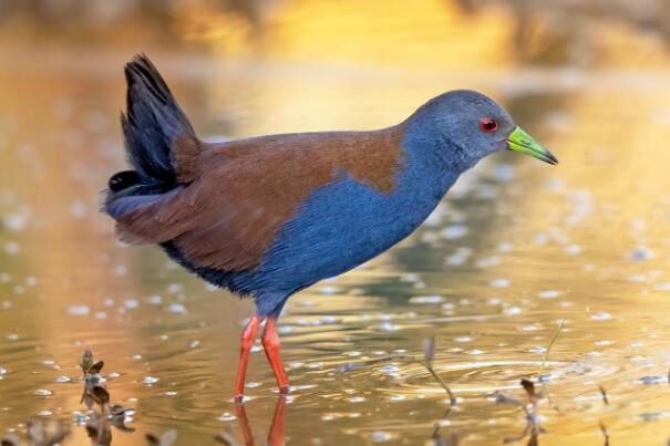 �ر��Ｆ��ʲô���� �ر��Ｆ�ǹ��ұ���������