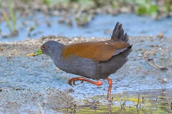 �ر��Ｆ��ʲô���� �ر��Ｆ�ǹ��ұ���������