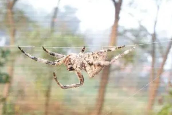 ���ĳ����ж����ʲô�� ���������ĳ�������