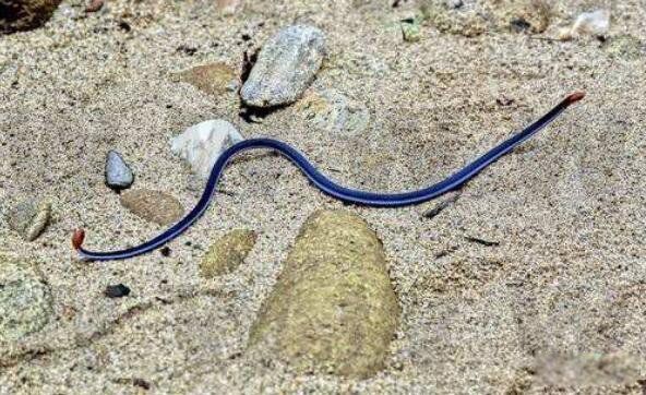 ������ʲô��˼ ����������������ͼƬ