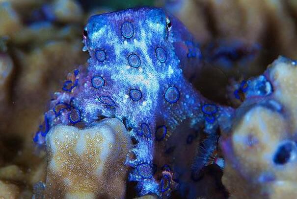 ���������ж඾ ��һ�»�����Ϊʲô��������