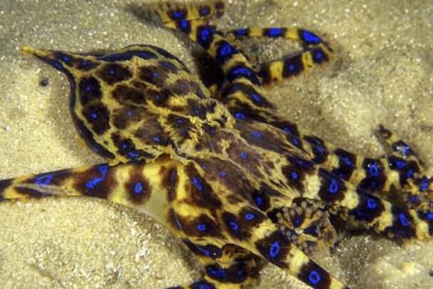 ���������ж඾ ��һ�»�����Ϊʲô��������