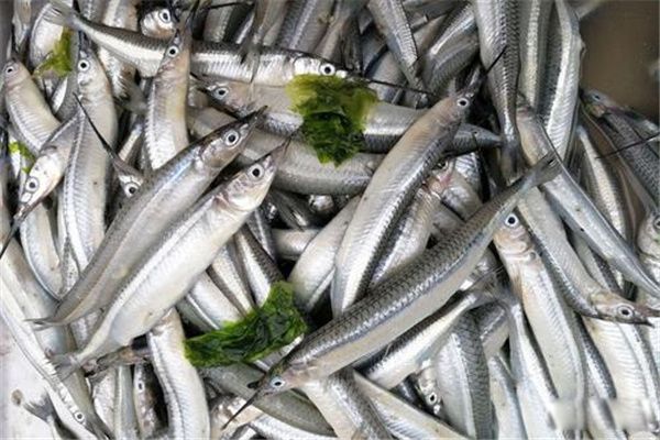 �������Ǳ��������� �������Ǻ��㻹�ǵ�ˮ��