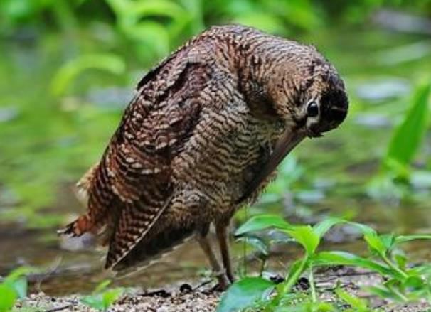 �����ǹ��ұ��������� һ����޵���,��·һ��һ�ε�