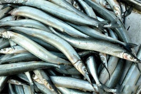 �������Ǳ��������� �������Ǻ��㻹�ǵ�ˮ��