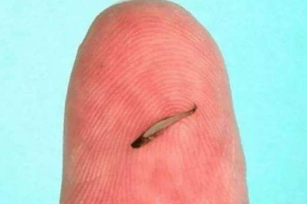 ��������С�����ж�С? �ж��س�ʲô�����ҿ���