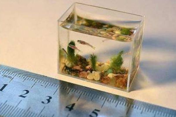 ��������С�����ж�С? �ж��س�ʲô�����ҿ���