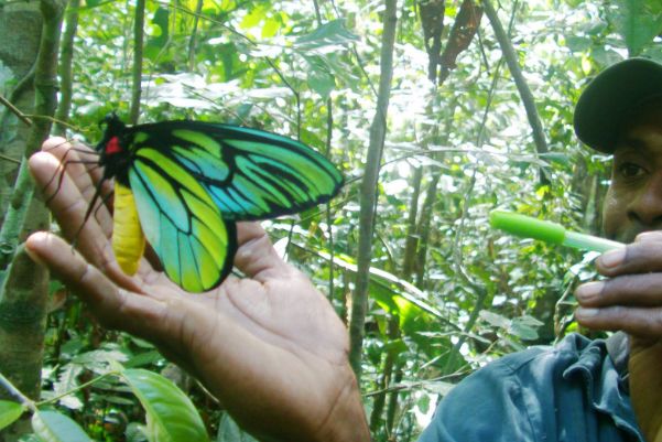 ���ĳ����ж����ʲô�� ���������ĳ�������