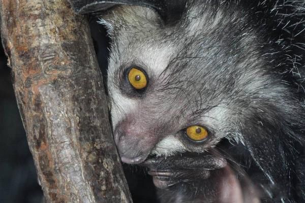 ָ����ʲô���� ָ�������ϰ�Գ�ʲô