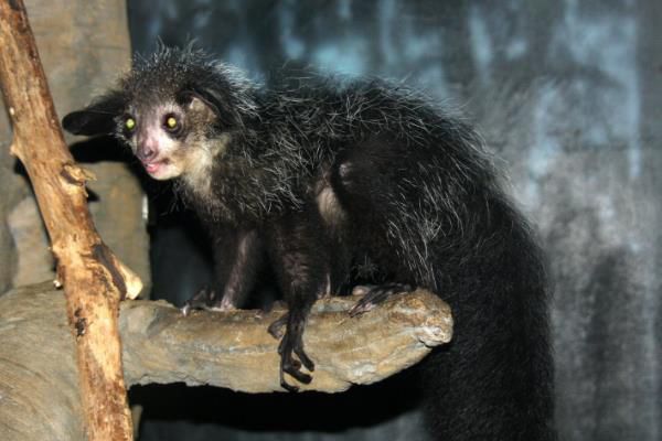 ָ����ʲô���� ָ�������ϰ�Գ�ʲô