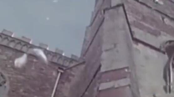 空中降鱼最早出现在哪里 空中降鱼的诡异天气是什么原因