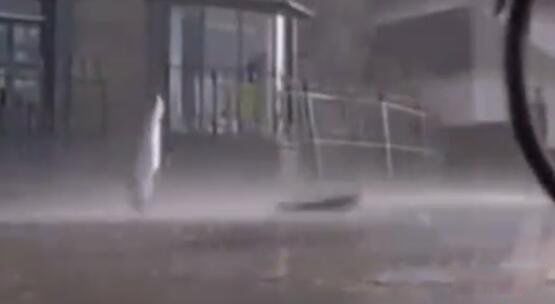 空中降鱼最早出现在哪里 空中降鱼的诡异天气是什么原因