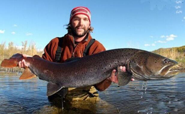 ������������ж�� ����������15���������