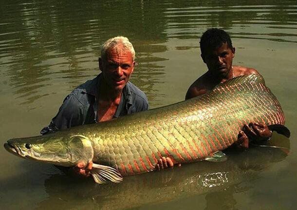 ������������ж�� ����������15���������