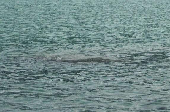 ������������ж�� ����������15���������