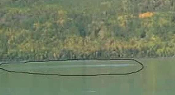 ������������ж�� ����������15���������