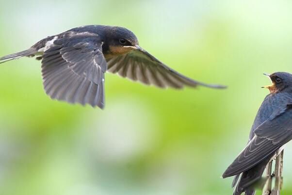 ����������Ҫ�ֲ������� ��4�����ַֻ�����ϰ�����