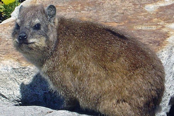 ������������ ������ʲô����ͼƬ