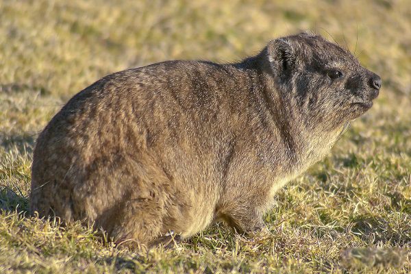 ������������ ������ʲô����ͼƬ