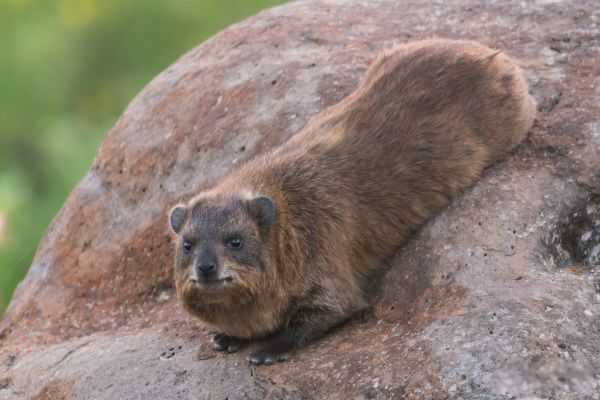 ������������ ������ʲô����ͼƬ