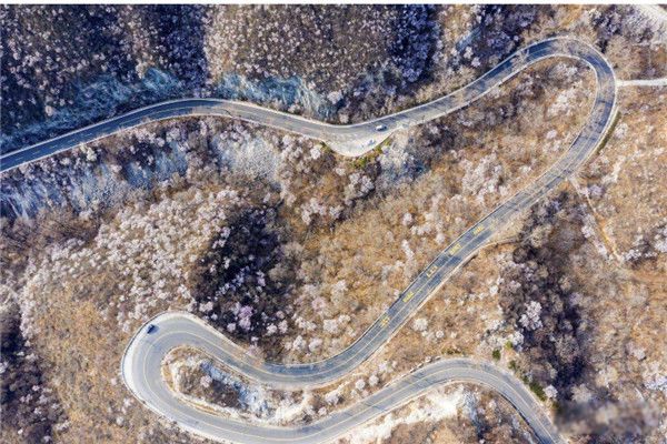 �������ж��� ���������߻�������?Ϊʲô