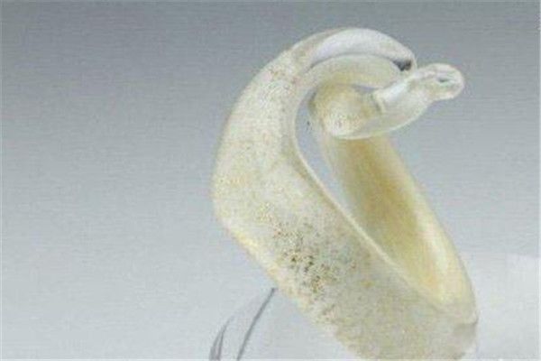 �������ж��� ���������߻�������?Ϊʲô