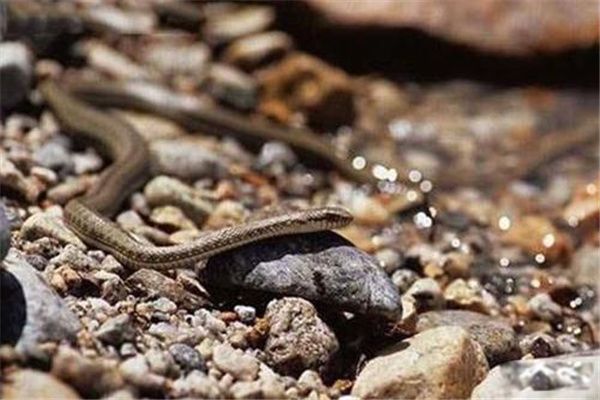 ��Ȫ���Ƕ����� ��Ȫ���Ǳ���������