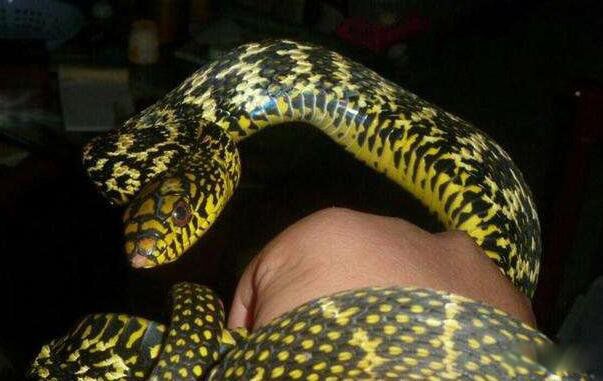 ��������ʲô�� ������Ϊʲô�ܿ����Ҳ��ܴ���