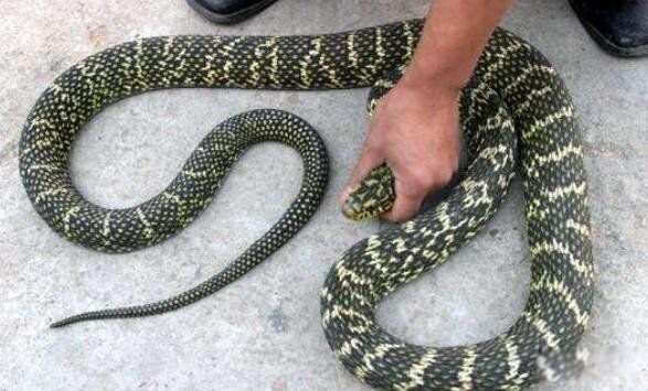 ��������ʲô�� ������Ϊʲô�ܿ����Ҳ��ܴ���