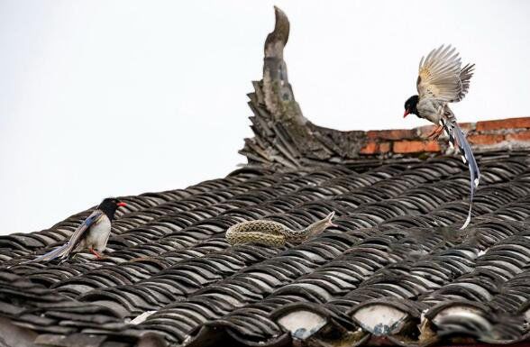 ��������ʲô�� ������Ϊʲô�ܿ����Ҳ��ܴ���