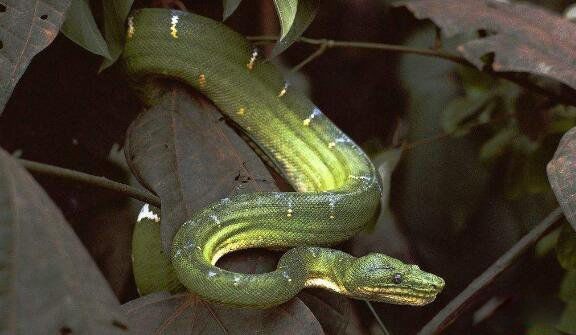 ��������ʲô�� ������Ϊʲô�ܿ����Ҳ��ܴ���