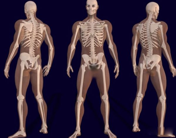 ����İ�������Щ ����15�󺱼�������ʲô