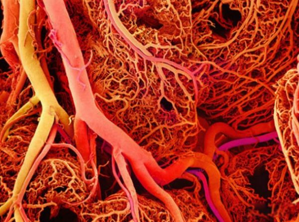 ����İ�������Щ ����15�󺱼�������ʲô