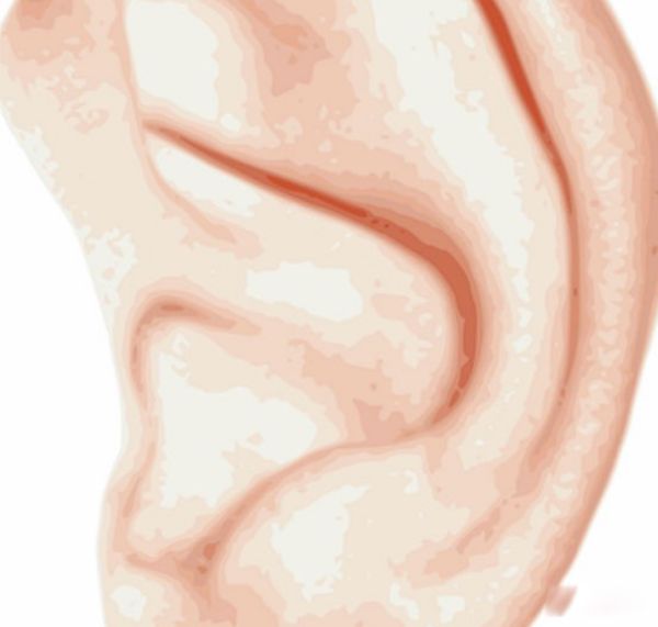 ����İ�������Щ ����15�󺱼�������ʲô