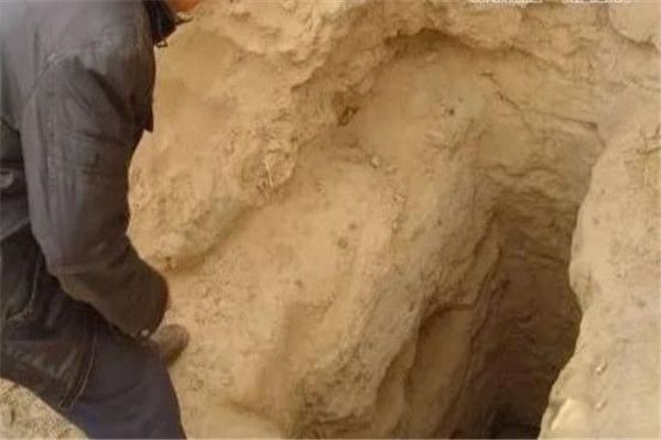 ս��Ůʬ������ʲô ����ս��Ůʬ��ò��ԭͼ