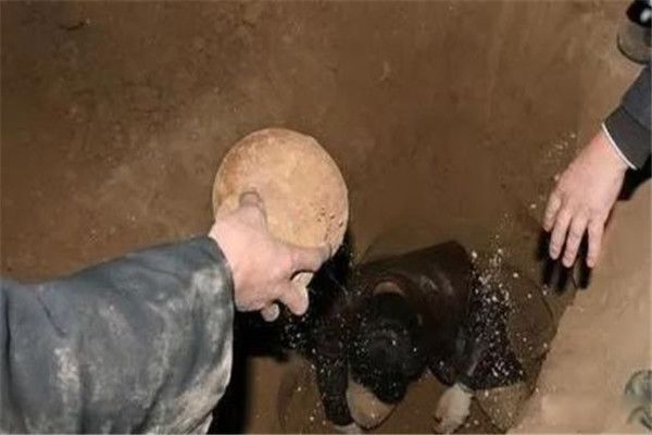 ս��Ůʬ������ʲô ����ս��Ůʬ��ò��ԭͼ